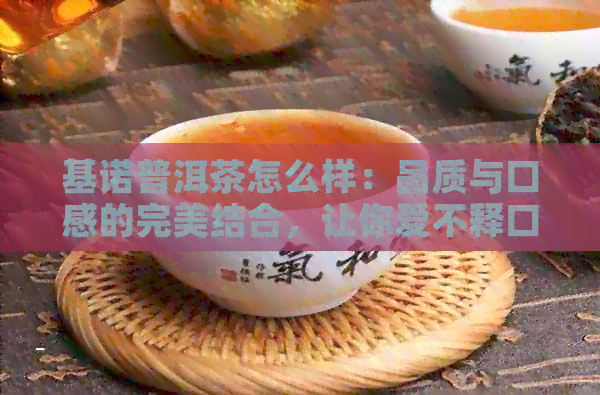 基诺普洱茶怎么样：品质与口感的完美结合，让你爱不释口！