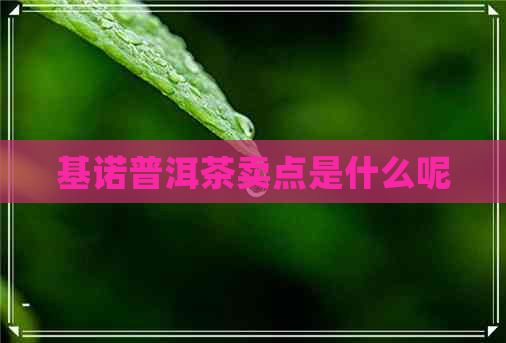 基诺普洱茶卖点是什么呢