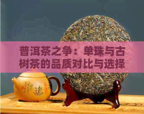 普洱茶之争：单珠与古树茶的品质对比与选择指南