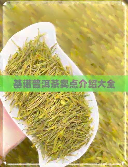 基诺普洱茶卖点介绍大全