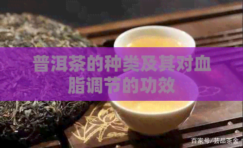 普洱茶的种类及其对血脂调节的功效