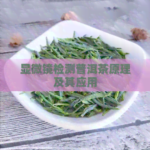 显微镜检测普洱茶原理及其应用