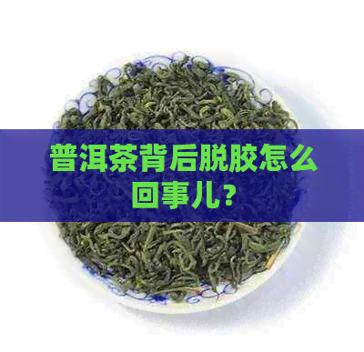 普洱茶背后脱胶怎么回事儿？