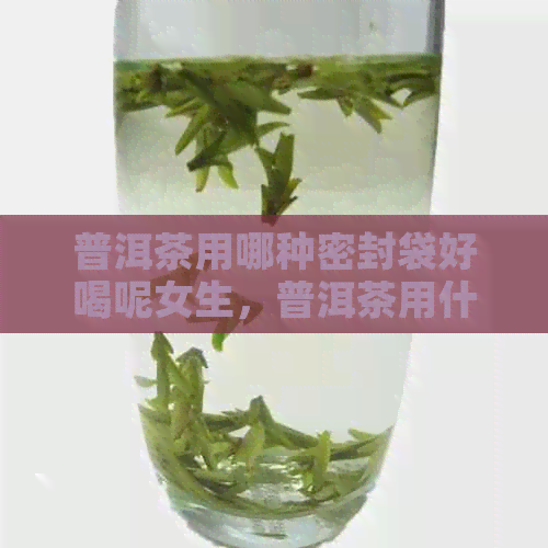 普洱茶用哪种密封袋好喝呢女生，普洱茶用什么密封袋好？