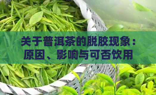 关于普洱茶的脱胶现象：原因、影响与可否饮用