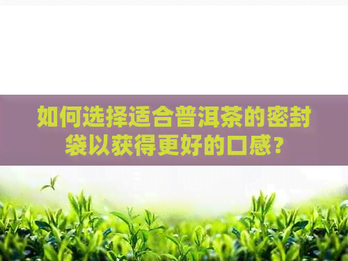 如何选择适合普洱茶的密封袋以获得更好的口感？