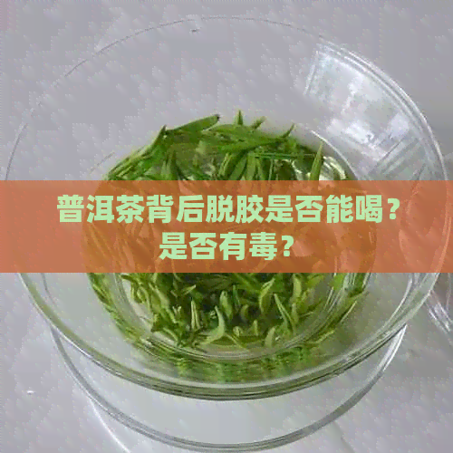 普洱茶背后脱胶是否能喝？是否有？