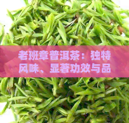 老班章普洱茶：独特风味、显著功效与品鉴技巧的全面解析