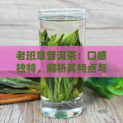 老班章普洱茶：口感独特，解析其特点与品质