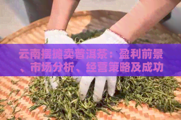 云南摆摊卖普洱茶：盈利前景、市场分析、经营策略及成功案例全面解析