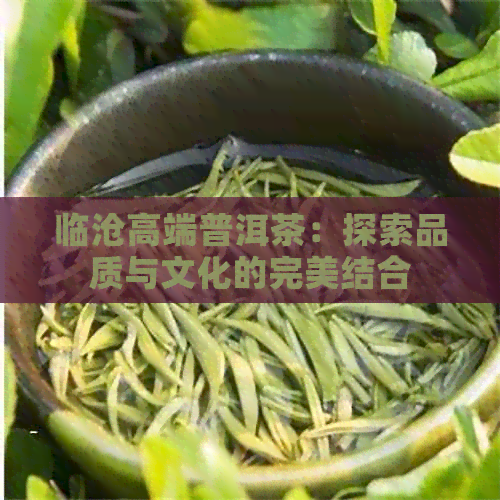 临沧高端普洱茶：探索品质与文化的完美结合