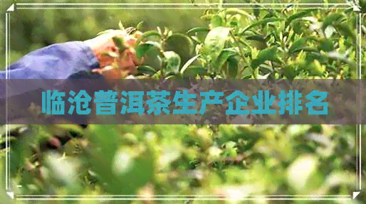 临沧普洱茶生产企业排名