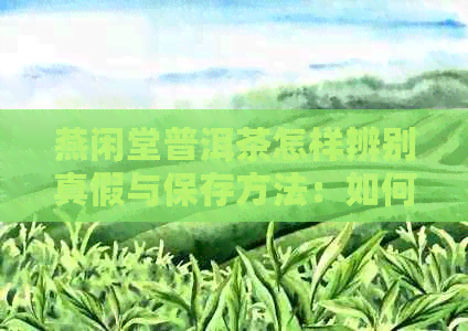 燕闲堂普洱茶怎样辨别真假与保存方法：如何正确饮藏燕语普洱茶