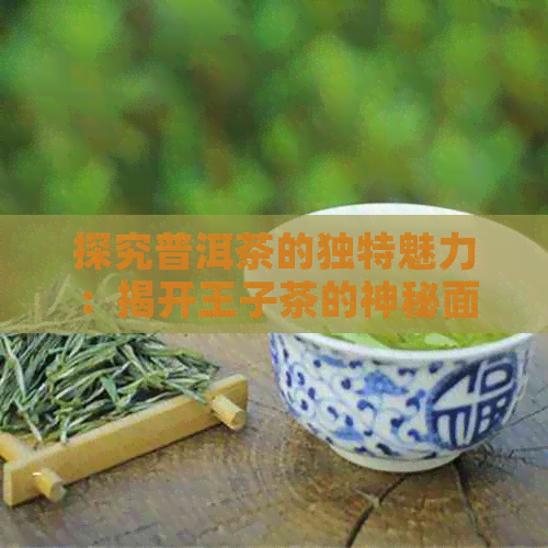 探究普洱茶的独特魅力：揭开王子茶的神秘面纱