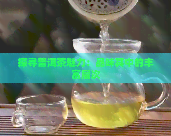 探寻普洱茶魅力：品味其中的丰富层次