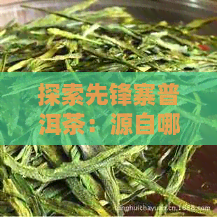 探索先锋寨普洱茶：源自哪个产区，特点与口感如何？