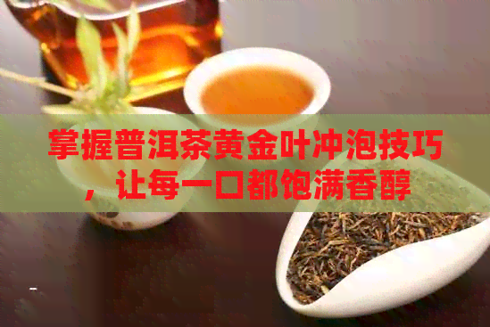 掌握普洱茶黄金叶冲泡技巧，让每一口都饱满香醇