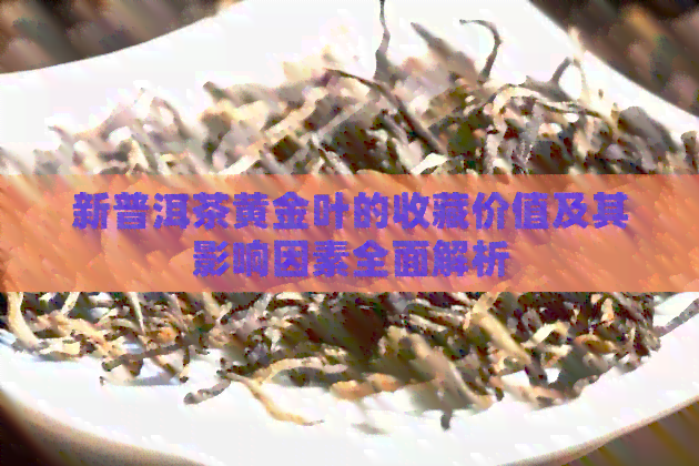 新普洱茶黄金叶的收藏价值及其影响因素全面解析