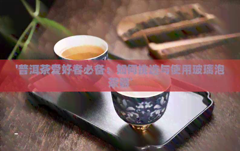 '普洱茶爱好者必备：如何挑选与使用玻璃泡茶器'