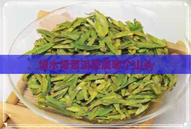 绿水潭普洱茶属哪个山头