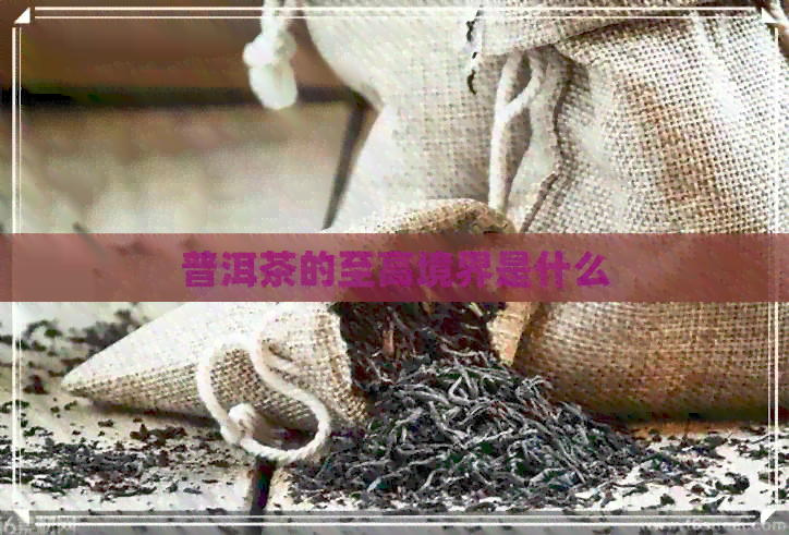 普洱茶的至高境界是什么