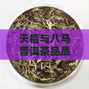 天福与八马普洱茶品质对比：哪个更受欢迎？