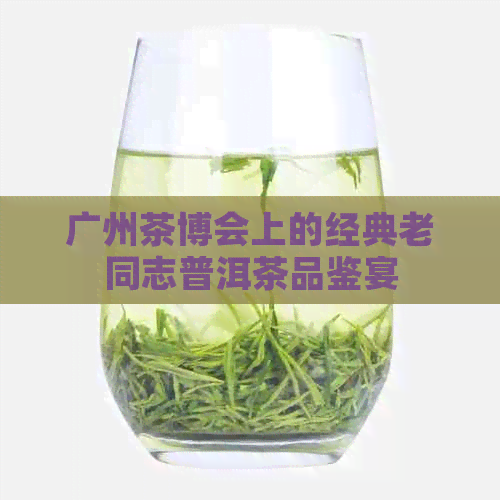 广州茶博会上的经典老同志普洱茶品鉴宴