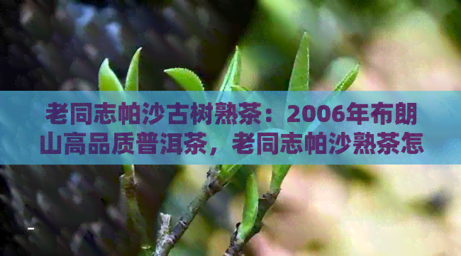 老同志帕沙古树熟茶：2006年布朗山高品质普洱茶，老同志帕沙熟茶怎么样？