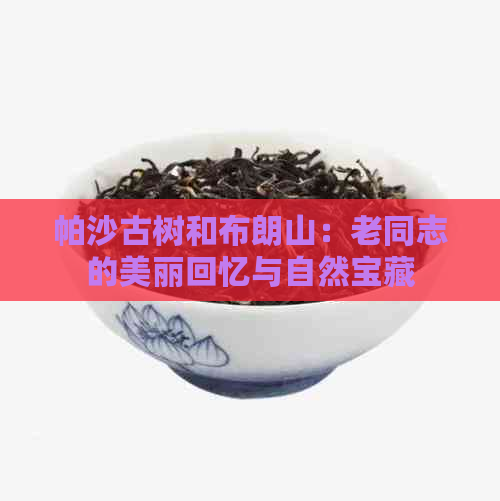 帕沙古树和布朗山：老同志的美丽回忆与自然宝藏