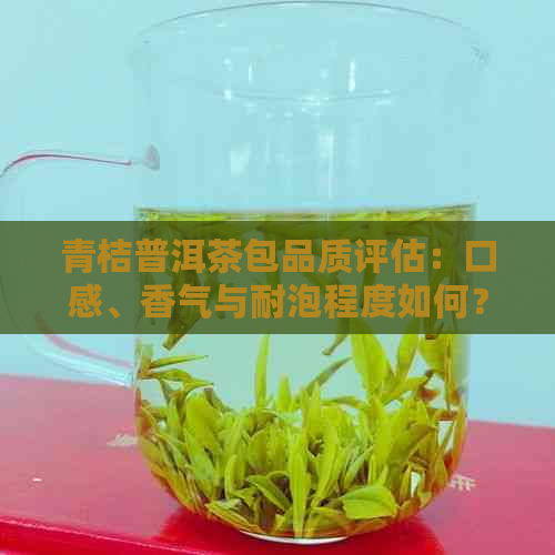 青桔普洱茶包品质评估：口感、香气与耐泡程度如何？