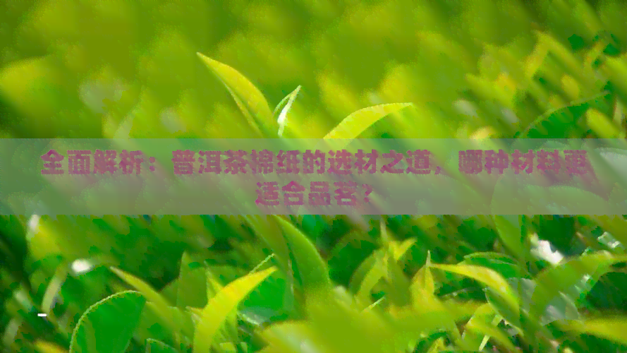 全面解析：普洱茶棉纸的选材之道，哪种材料更适合品茗？