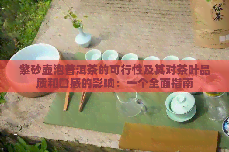 紫砂壶泡普洱茶的可行性及其对茶叶品质和口感的影响：一个全面指南