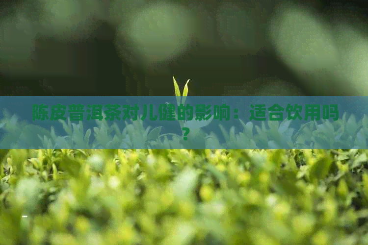 陈皮普洱茶对儿健的影响：适合饮用吗？