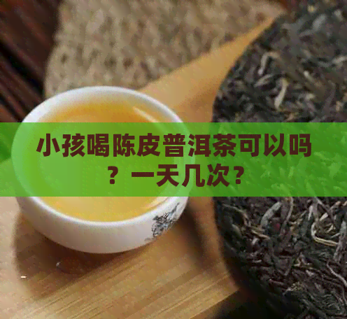 小孩喝陈皮普洱茶可以吗？一天几次？