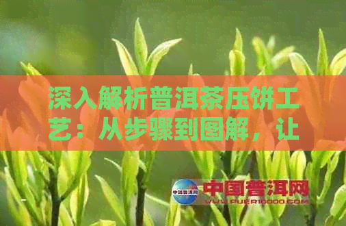 深入解析普洱茶压饼工艺：从步骤到图解，让你轻松掌握制茶全过程