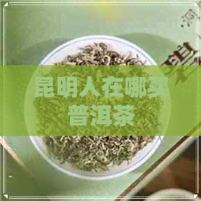 昆明人在哪买普洱茶