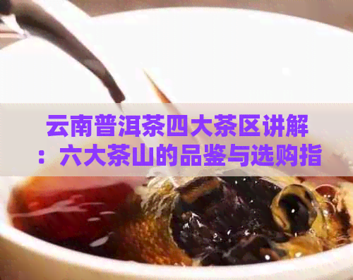 云南普洱茶四大茶区讲解：六大茶山的品鉴与选购指南