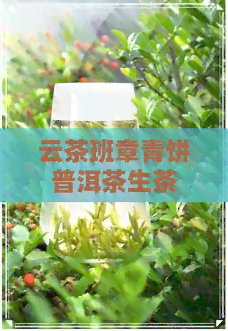 云茶班章青饼普洱茶生茶