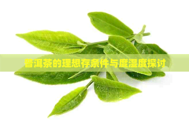 普洱茶的理想存条件与度湿度探讨