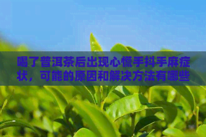 喝了普洱茶后出现心慌手抖手麻症状，可能的原因和解决方法有哪些？