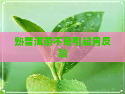 熟普洱茶不易引起胃反酸