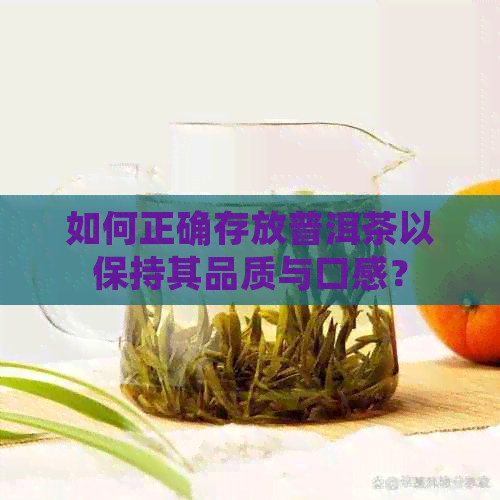 如何正确存放普洱茶以保持其品质与口感？