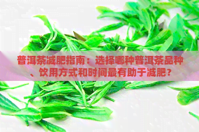 普洱茶减肥指南：选择哪种普洱茶品种、饮用方式和时间最有助于减肥？