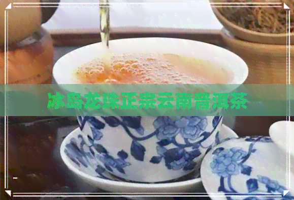 冰岛龙珠正宗云南普洱茶