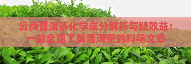 云南普洱茶化学成分解析与健效益：一篇全面了解普洱茶的科学文章