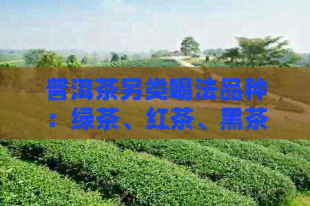 普洱茶另类喝法品种：绿茶、红茶、黑茶、白茶、黄茶等。