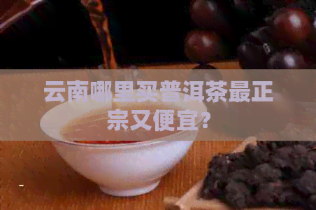 云南哪里买普洱茶最正宗又便宜？