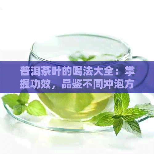 普洱茶叶的喝法大全：掌握功效，品鉴不同冲泡方法