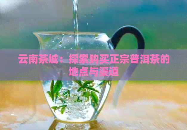 云南茶城：探索购买正宗普洱茶的地点与渠道