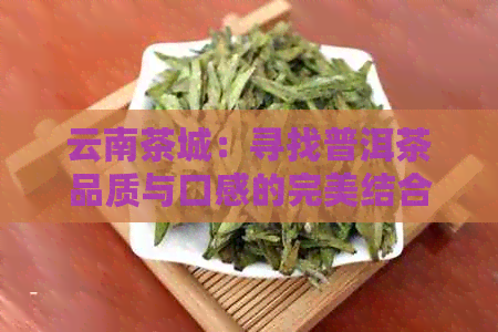 云南茶城：寻找普洱茶品质与口感的完美结合之地